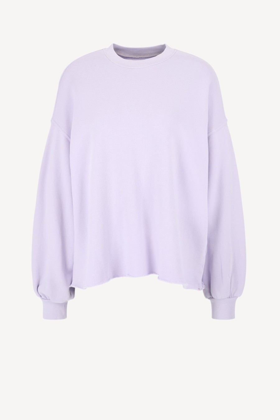 Vetements Xirena | Sweat-Shirt Honor In Pale Iris