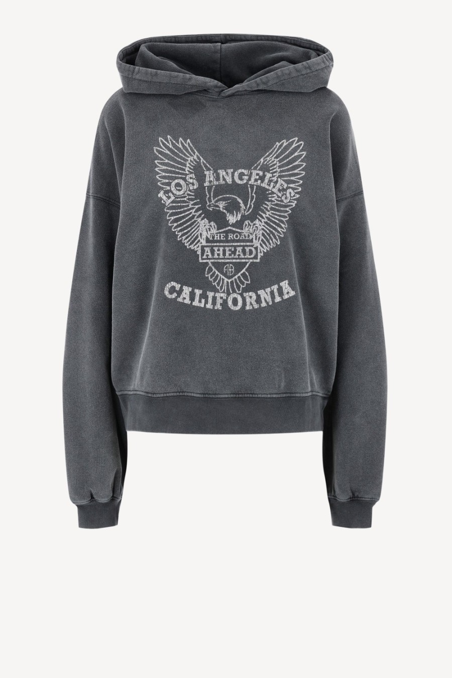 Vetements Anine Bing | Sweat A Capuche Alec En Noir Delave